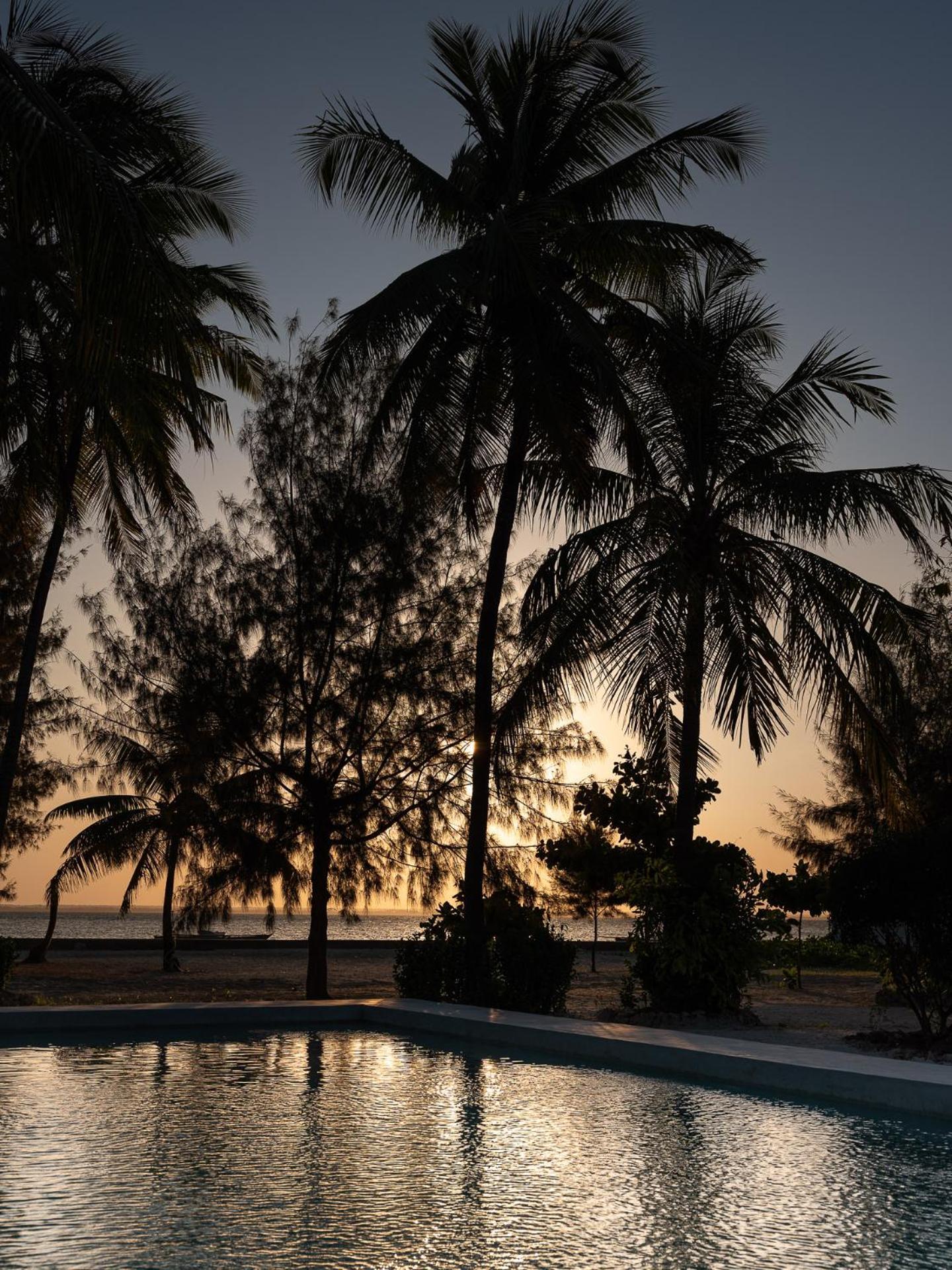 Bahati Sunset Bungalows Michamvi Exterior photo